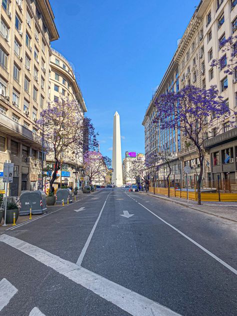 Purple city aesthetics jacaranda season Argentina Buenos Aires Aesthetic, Buenos Aires Argentina Aesthetic, Buenos Aires Aesthetic, Argentina Trip, Buenos Aires Travel, Argentina Travel, South America Travel, Panama City Panama, City Aesthetic