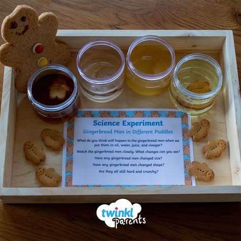 The Ginger Bread Man Activities, Gingerbread Experiment For Kids, Gingerbread Literacy Activities Preschool, Gingerbread Eyfs Activities, Gingerbread Man Science Experiment, Gingerbread Science Experiment, Eyfs Gingerbread Man, Gingerbread Science Preschool, Gingerbread Man Eyfs Activities