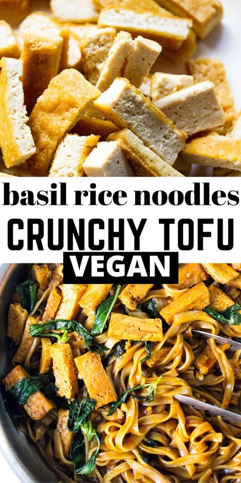 Easy, delicious and quick basil tofu rice noodles. Vegan, gluten free and so simple to make, these rice noodles are coated in the best ever asian style sweet and spicy sauce tossed in lots of fresh basil, garlic & crispy strips of pan fried tofu. #vegan #comforting #rice #noodles #recipe #quick #easy #delicious #tofu #fried #asian #chinese #comfort #dinner #lunch #basil #garlic #drunken #pad #kee #mao #gluten #free #healthy Rice Noodle And Tofu Recipes, Tofu And Rice Noodles, Vegan Rice Noodle Recipes, Basil Tofu, Tofu Fried, Tofu Rice, Rice Noodle Recipes, Tofu Noodles, Pan Fried Tofu