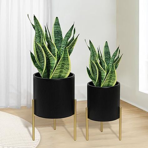 Modern planters indoor