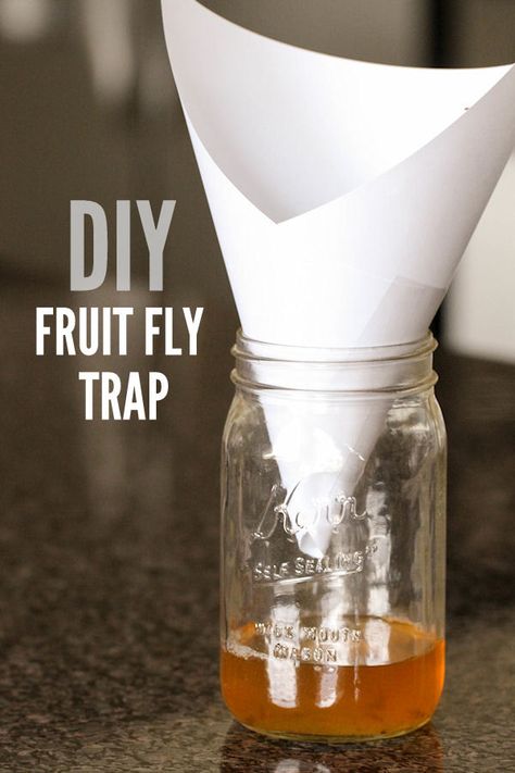 DIY Fruit Fly Trap - takes 2 minutes to make and works AWESOME! { lilluna.com } Homemade Fruit Fly Trap, Fruit Fly Trap Diy, Fruit Diy, Fruit Fly Trap, Fruit Fly, Fly Trap, Fruit Flies, Fly Traps, Bug Repellent