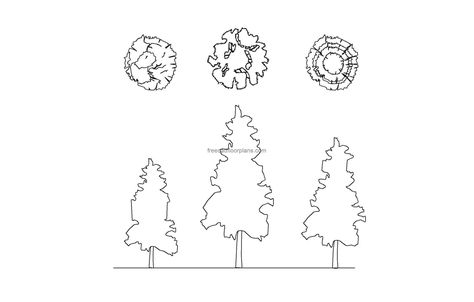 pine trees min Pool Houses Plans, Pine Tree Drawing, House Plans Design, Floor Plans House, Plan Elevation, One Storey House, Tree Plan, Courtyard House Plans, 2 Bedroom House Plans