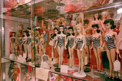 How to Display Dolls in Your Doll Collections How To Display Barbie Collection, Barbie Collection Display, Doll Display Ideas, Doll Collection Display, Barbie Display, Doll Museum, Barbie Diorama, Barbie Barbie, Museum Displays