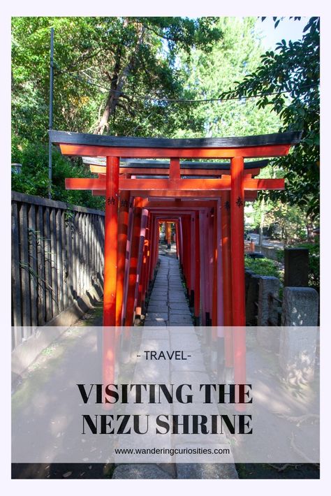 Visiting the Nezu Shrine Tokyo and where to find breakfast Nezu Shrine Tokyo, Nezu Shrine, Japan Travel Destinations, Peace And Serenity, Japan Itinerary, Shinto Shrine, Tokyo Dome, Asian Love, Japan Trip