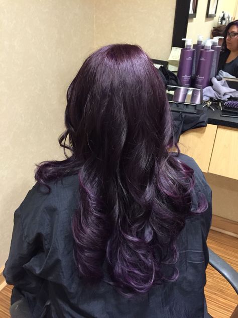 Midnight Hair Purple, Dark Purple Streaks In Black Hair, Dark Purple Hair Without Bleach, Dark Eggplant Hair Color, Really Dark Purple Hair, Purple Hair Gloss, Very Dark Purple Hair, Black Purple Short Hair, Purple Dye On Black Hair