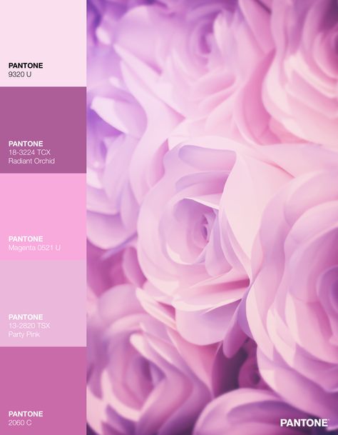 Pinkish Purple Color Palette, Pinkish Purple, Pink Purple Color Palette, Fresh Drinks, Purple Color Palettes, Purple Design, Theatre Set, Color Palette Design, Aesthetic Colors