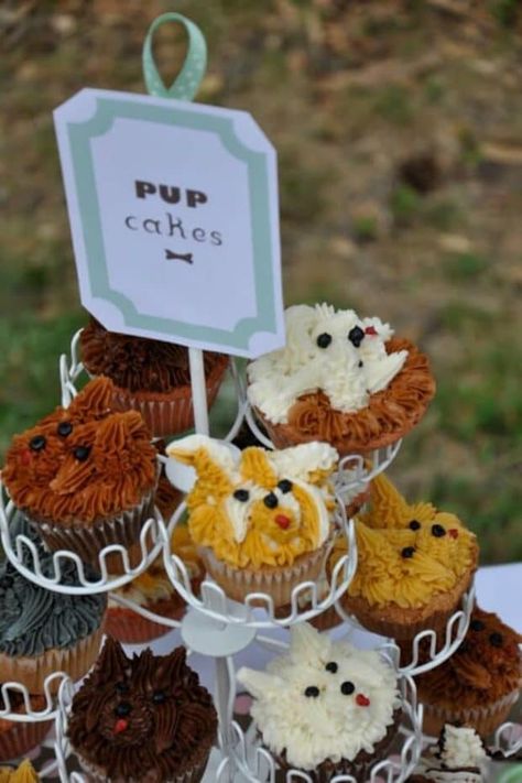 Bark Mitzvah, Pup Cakes, Paw Patrol Birthday Party Ideas, Happy Barkday, Puppy Party Theme, Dog Themed Birthday Party, Dog Cupcakes, Dog Themed Parties, Puppy Birthday Parties