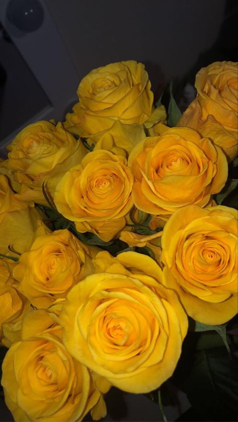 Yellow Stuff, Aesthetic Yellow, Rosé Aesthetic, Yellow Aesthetic, Background Pictures, Lovely Things, Nature Aesthetic, Yellow Roses, Beautiful Butterflies