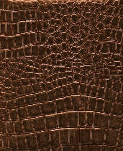 Brown Aesthetic Wallpaper Desktop, Aesthetic Wallpaper Desktop, Texture Cuir, Brown Aesthetic Wallpaper, Scale Skin, Skin Pattern, Backgrounds Wallpapers, Crocodile Skin, Brown Aesthetic