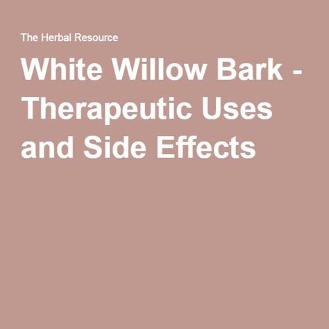 White Willow Bark, White Willow, Willow Bark, Diy Health, Herbal Supplements, Medicinal Herbs, Diy Natural Products, Skin Problems, Wellness Tips