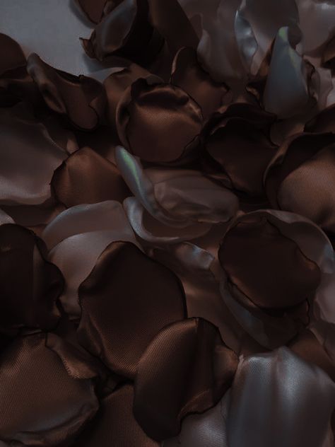 Brown Roses Aesthetic, Brown Asthetics Wallpaper, Iphone Asthetics, Kimberly White, Brown Eyes Aesthetic, Life Color, Cream Aesthetic, Brown Wallpaper, Mocha Brown