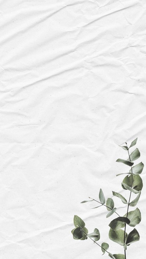 Leaves Wallpaper Iphone, White Wallpaper For Iphone, Gold Wallpaper Iphone, Gold Wallpaper Background, Flower Graphic Design, Background Flower, Paper Background Design, Background Gold, Instagram Background