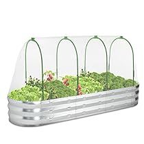 Tall Planter Boxes, Greenhouse Frame, Greenhouse Cover, Galvanized Planters, Strawberry Plant, Metal Planter Boxes, Strawberry Garden, Tall Planters, Strawberry Plants