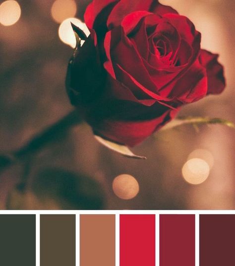 Color Skeem, Colour Scheme Wedding, Rose Color Palette, Palettes Color, Home Paint Color, Paint Color Ideas, Wedding Color Ideas, Home Paint, Color Palette Challenge