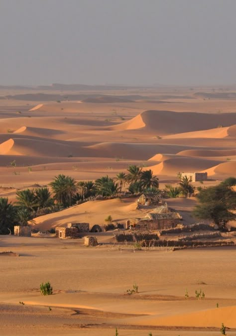 Desert Village Aesthetic, Oasis Aesthetic, Desert Sahara, Deserts Of The World, Desert Life, Desert Oasis, Voyage Europe, Orange Aesthetic, Sand Dunes