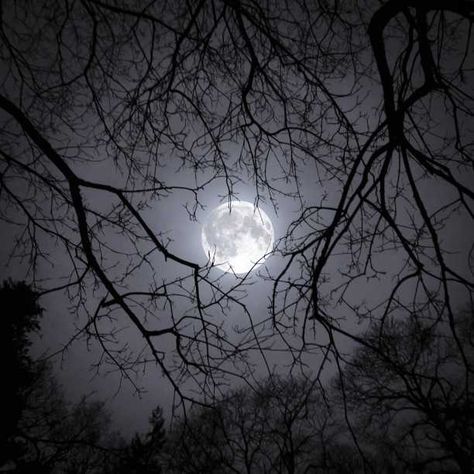 Grey Moon Aesthetic, Moon Fairy Aesthetic, Moon Icon Aesthetic, Moon Aesthetic Icon, Moon Aestethic, Lady Selene, Moon Dark Aesthetic, Winter Icons Aesthetic, Dark Moon Aesthetic