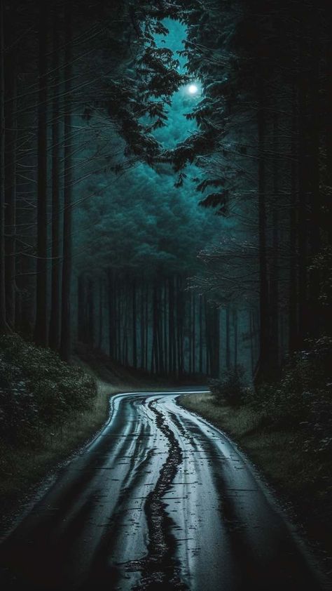 Image Bleu, Dark Vibes, Dark Forest Aesthetic, Background Pics, Ipad Wallpapers, Dark Nature Aesthetic, Forest Road, Forest Wallpaper, Fall Pictures