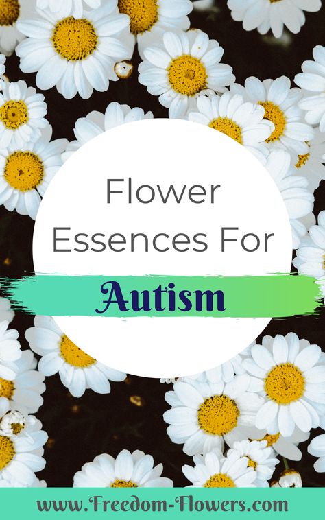 Flower Essences Diy, Flower Medicine, Bach Remedies, Flower Essences Remedies, June Flowers, Healing Flowers, Herbal Essence, Ringing Bell, Bach Flowers