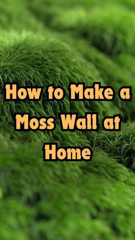 Ever thought about adding a moss wall to your home? It could cut indoor air pollutants by half. Indoor Moss Garden Diy, Diy Living Moss Wall Art, Moss Interior Design, Indoor Plant Wall Diy, How To Make A Moss Wall, Moss Home Decor, Diy Moss Wall Art Living, Moss Wall Art Diy How To Make, Diy Living Wall Indoor