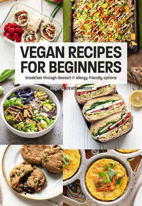 Whether you are striving to go plant based in the new year or just doing meatless Monday, Vegan Recipes for Beginners is a great place to start with dairy free, meat free recipes! Vegan Recipes For Beginners, Sandwich Vegetarian, Vegan Recipes Beginner, Vegan Recipes Videos, Foods And Drinks, Camping Stuff, Vegan Meal Prep, Diet Vegetarian, Vegetarian Meals