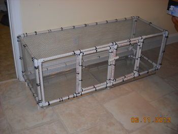 Quail Farming, Quail Coop, Meat Rabbits, Backyard Chicken Coop Plans, Quails, Chicken Cages, Tool Storage Diy, Pipe Decor, Rabbit Cage