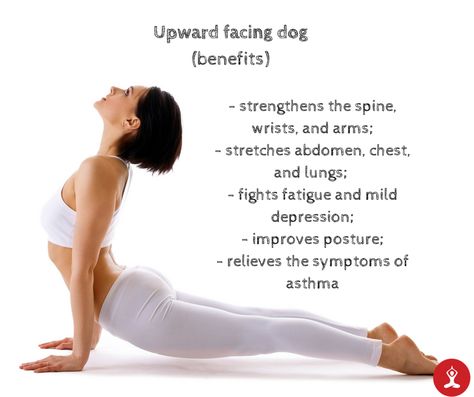 Upward Facing Dog Pose, Acro Yoga Poses, Yoga Poses For 2, Yoga Teacher Resources, Upward Dog, Iphone Image, Air Yoga, Yoga Poses For Men, Upward Facing Dog