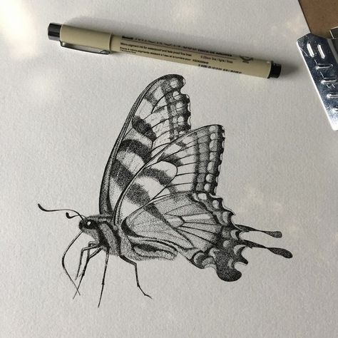 Stippling Butterfly, Sketches Pencil, Canvas Drawing, Art Butterfly, Art Drawings Sketches Pencil, Butterfly Drawing, Black Work, Drawing Inspo, Stippling