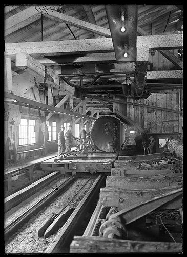 Saw mill. 1911. Name of Expedition: Huron H. Smith Expedition to Oregon Participants: Huron H. Smith Expedition Start Date: 1910 Expedition End Date: 1911 Purpose or Aims: Collecting Botany specimens, taking portraits of trees Location: Oregon, U.S.A., North America Original material: 5x7 glass negative Digital Identifier: CSB34411 Learn more about The Field Museum's Library Photo Archives. Districts Of Panem, Logging Industry, Saw Mill, Lumber Mill, Logging Equipment, Giant Tree, Victorian Period, A Series Of Unfortunate Events, Big Tree