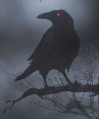 The truth revealed, with proof ahead- When the raven's eye glows red. Red Crow Aesthetic, Raven Pfp Bird, Ravens Aesthetic, Raven Images, Red Crow, Red Raven, Red Lightning, Royal Aesthetic, Animal Study