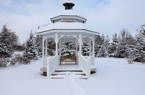 Michigan gazebo Winter Gazebo, Travel Favorites, Nature Winter, Indoor Gardens, Garden Sheds, Facebook Photos, Winter Beauty, Greenhouses, Garden Shed