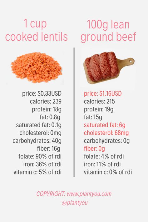 Have you ever wondered how plant proteins can compare to animal proteins? Well, we break it down for you!  If your looking to transition to a plant-based diet please check out our Plant Ahead Meal Prep Program to help you get started! We also have many free resources on our blog.  Vegan Protein | Veganism for Beginners | Veganism | Vegan Hacks | Healthy Plant-Based Protein | Vegan Lifestyle  #howtogovegetarian #plantbasedtips #plantbasedtipsandtricks Vegetarian Facts, Carleigh Bodrug, Lentils Protein, Plant Based Protein Sources, Animal Infographic, Healthy Vegan Diet, Best Vegan Protein, Vegan Protein Sources, Vegan Tips