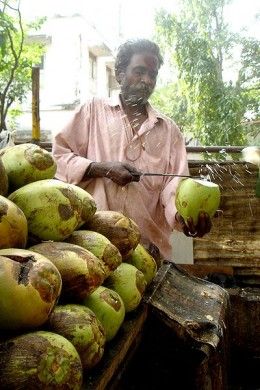 tender coconut vendor Nariyal Pani, India Street Food, Street Food India, Trinidadian Recipes, Tender Coconut, Coco Cabana, Benefits Of Coconut, India Street, Coconut Health Benefits