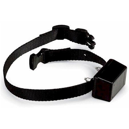 Extra Dog Electric Fence Collar - http://www.thepuppy.org/extra-dog-electric-fence-collar/ Shutter Dogs, Dog Shock Collar, Dog Bell, Food Costumes, Luxury Dog Collars, Pet Fence, Shock Collar, Custom Dog Collars, Pet Gear