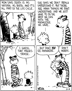 Calvin & Hobbes Hobbes And Bacon, Calvin And Hobbes Quotes, Calvin And Hobbes Comics, Comic Relief, After Life, A Tiger, Calvin And Hobbes, Fun Comics, Life Cycles