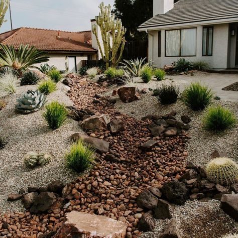 Frontyard Landscape Desert, Staining Rock Exterior, Dry Riverbed Landscaping, Desert Landscape Front Yard, Dry Stream, Desert Backyard, Tattoo Plant, Desert Land, Sloped Yard