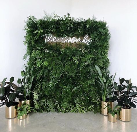 Band Backdrop, Artificial Vertical Garden, Corporate Event Design, Greenery Wall, Backdrop Wall, Emerald Green Weddings, Wedding Backdrop Design, Flower Wall Backdrop, Green Backdrops