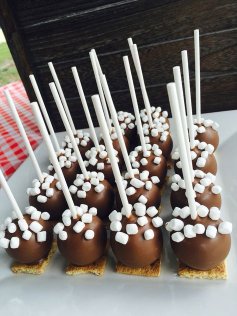 One Happy Camper Cake Pops, S’mores Pops, It’s S’more Fun To Be One, Camping Cake Pops, S’mores Birthday Party Theme, Smore Party, Bonfire Cake, Camper Cakes, Sprinkle Ideas