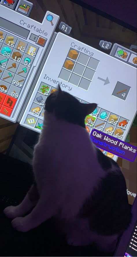 Black Minecraft Wallpaper, Playing Minecraft Aesthetic, Minecraft Cat Tree, Minecraft Wallpaper Aesthetic, Minecraft Cats, Minecraft Irl, Cat Minecraft, Minecraft Pfp, Playing Minecraft