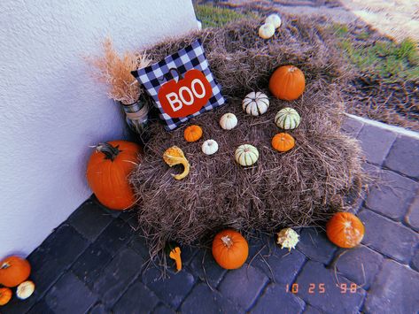 Pumpkins are from walmart and trader Joe’s Haybells are from detwillers Wheat is from walmart and pillow is from target Outside Fall Decor, Trader Joe’s, Trader Joe, Pumpkins, Halloween Wreath, Wheat, Fall Decor, Target, Pillows