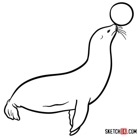 How to draw a Fur seal | Sea Animals Seal Pup Drawing, How To Draw A Seal, Easy Seal Drawing, Cute Seal Drawing, Seal Sketch, Outline Of Sea Animals, Seal Drawing, Draw An Elephant, Draw Sea