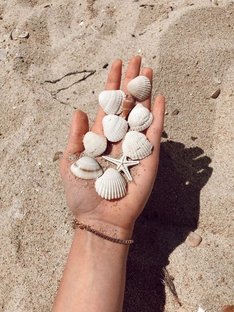 Seaside Pictures, Vintage Flowers Wallpaper, Ocean Treasures, Antique Silver Jewelry, Instagram Inspiration Posts, Sea Side, Beach Photography Poses, Hippie Wallpaper, Tumblr Photography