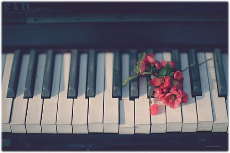 Just the sight of a piano makes me happy nowadays. Couldn't say that in my early days as a pianist. :P Blue Aesthetic Tumblr, Happy Tumblr, Aesthetics Tumblr, Pink Tumblr Aesthetic, Tumblr Backgrounds, Music Symbols, Piano Keys, Piano Teacher, Learn Piano