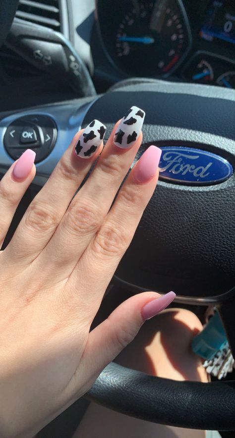 Glow In The Dark Cow Print Nails, Cow Accent Nail, Light Pink Cow Print Nails, Pink Cowprint Nails, Pink Cow Nails, Pink Cow Print Nails, Western Style Nails, Cow Print Birthday