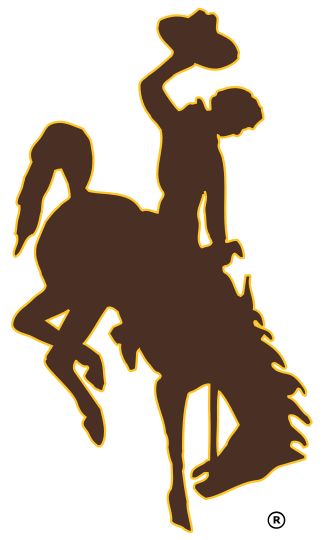 University Of Wyoming, Ranch Sign, Go Pokes, Wyoming Cowboys, Custom Metal Art, Western Paintings, Horse Silhouette, Bull Riders, Horse Logo