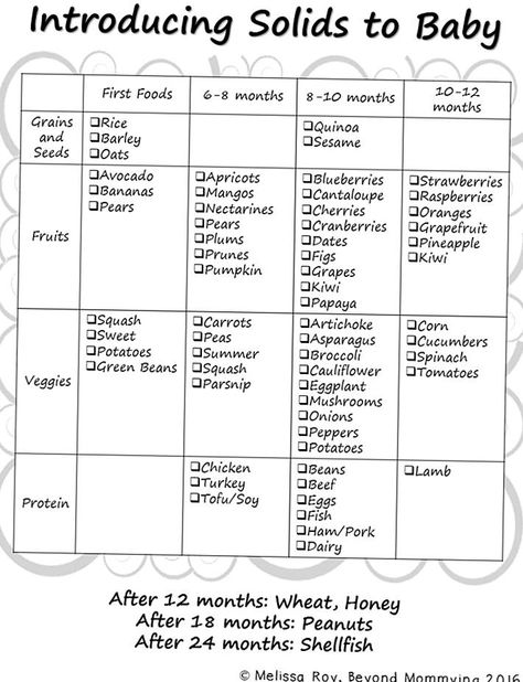 When To Introduce Foods To Baby, 4 Month Food Introducing Solids, Solids Feeding Schedule 6 Months, When To Start Baby Food, Starting Solids Checklist, How To Introduce Solids To Baby, Baby Food Introduction Chart, How Much Should Baby Eat, Solid Food Introduction Schedule