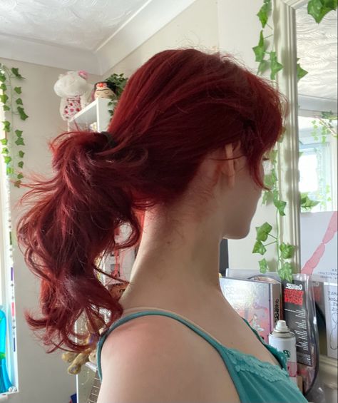 layered red hair pony tail hairstyle Red Hair In A Ponytail, Long Red Hair Aesthetic, Red Hair Ponytail Aesthetic, Red Hair Pigtails, Red Dyed Hair Aesthetic, Layered Red Hair, Ponytail Red Hair, Red Hair Wavy, Pony Tailed Hairstyle