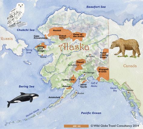 Alaska. Client: Wild Globe Travel. Alaska State Outline, Alaska Map Printable, Alaska Road Trip Map, Glacier Bay Alaska, Gulf Of Alaska, Matanuska Glacier Alaska, Dawes Glacier Alaska, Glacier Bay, Usa States