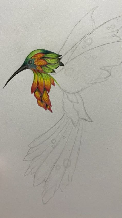 Pencil Colour Bird Drawing, Drawing Ideas Color Pencil, Pencil Colour Sketches For Beginners, Colour Pencil Drawing For Beginners, Colored Pencil Artwork Ideas, Butterfly Sketch, Romantic Makeup, Abstract Pencil Drawings, Color Pencil Sketch