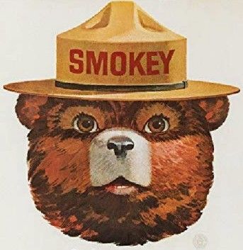 Smoky The Bear Poster, Vintage Smokey Bear, Vintage Smokey The Bear Poster, Smokey The Bear Aesthetic, Smokey The Bear Painting, Smokey The Bear Drawing, Smokey Bear Art, Vintage Smokey The Bear, Smokey The Bear Art