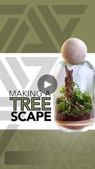 Forest Tutorial, Plants Terrarium, Terrarium Moss, 200k Views, Into The Forest, Moss Terrarium, Moss Garden, Plant Ideas, Terrarium Diy